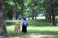 苇河分局：打好工作“组合拳” 推动夏季治安打击整治行动见成效