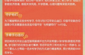 用爱心播种希望，来平安公益一对一帮扶希望小学孩子们